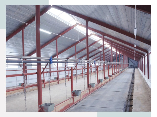 Строительство коровников в Азове от 616 руб.