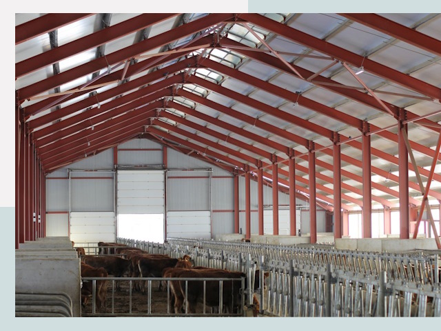 Строительство коровников в Азове