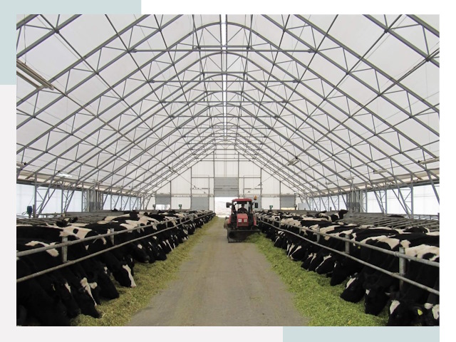 Тентовые коровники в Азове от 616 руб. - Надежно и доступно