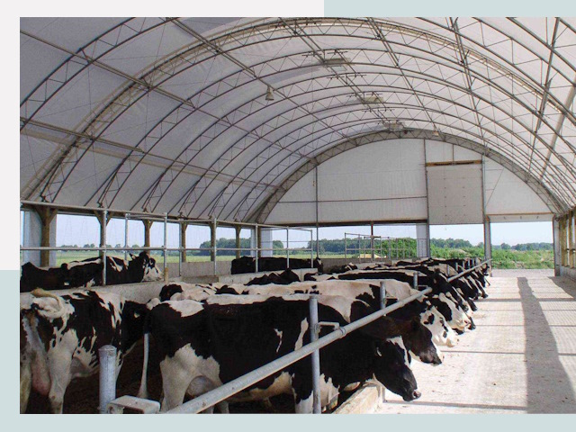 Тентовые коровники в Азове